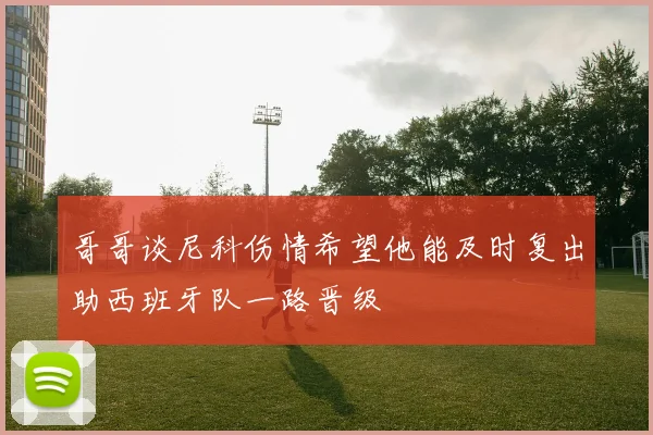 哥哥谈尼科伤情希望他能及时复出助西班牙队一路晋级